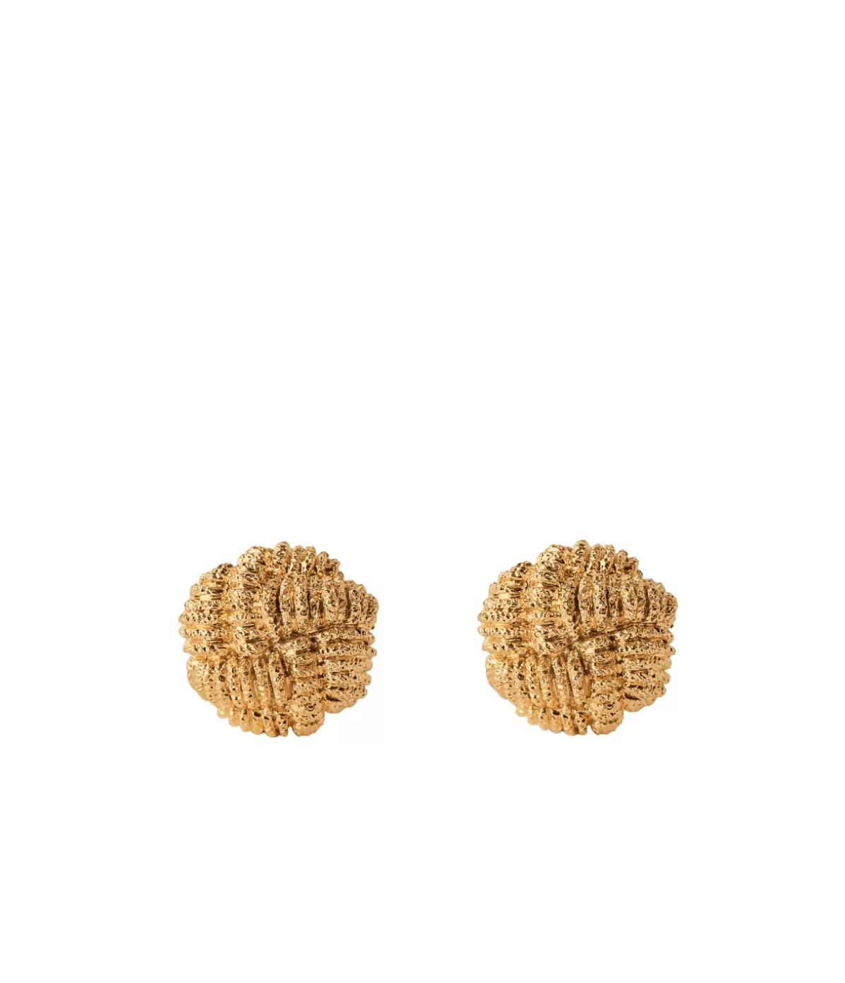 Paola Sighinolfi Ares Earrings in Gold Shop