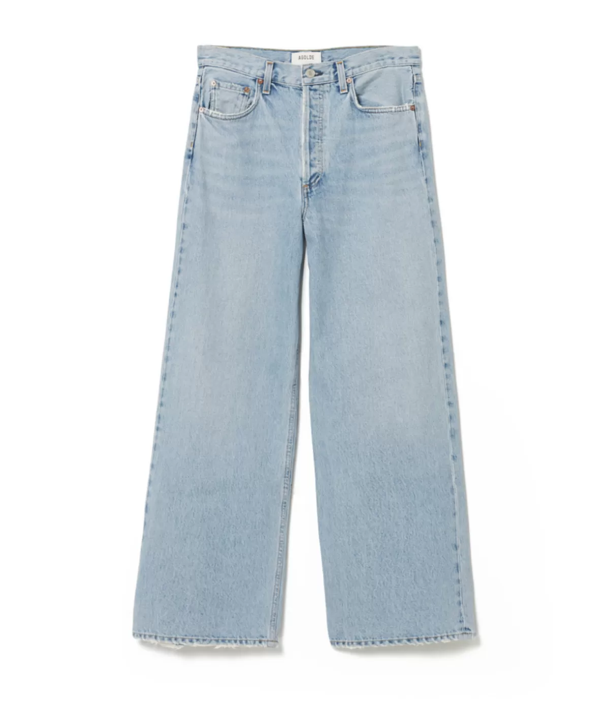 Agolde Low Slung Baggy Jean in Force Clearance