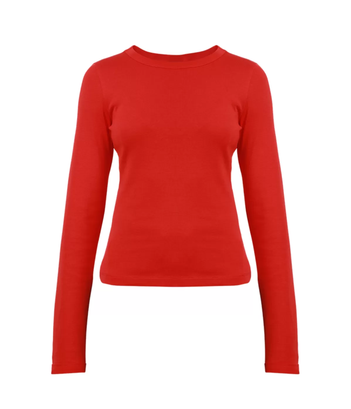 Flore Flore Max Fitted Long Sleeve Tee in Audrey Fashion