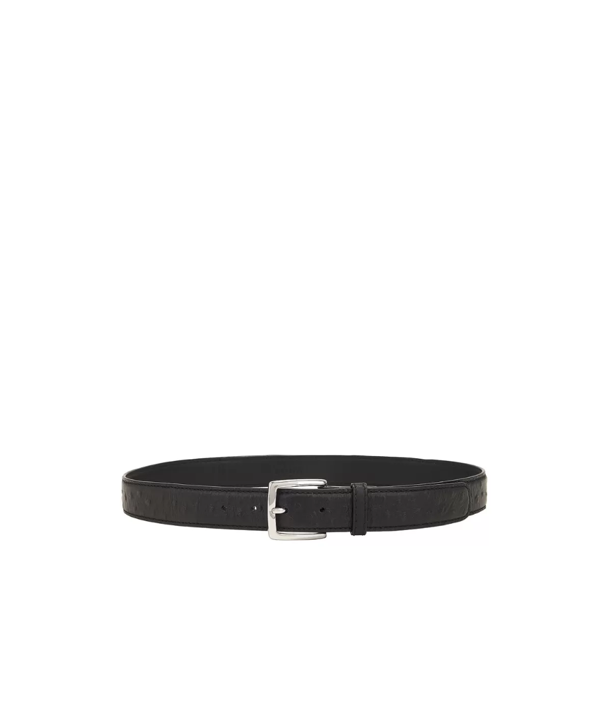 ROHE Ostrich Leather Belt in Black Cheap